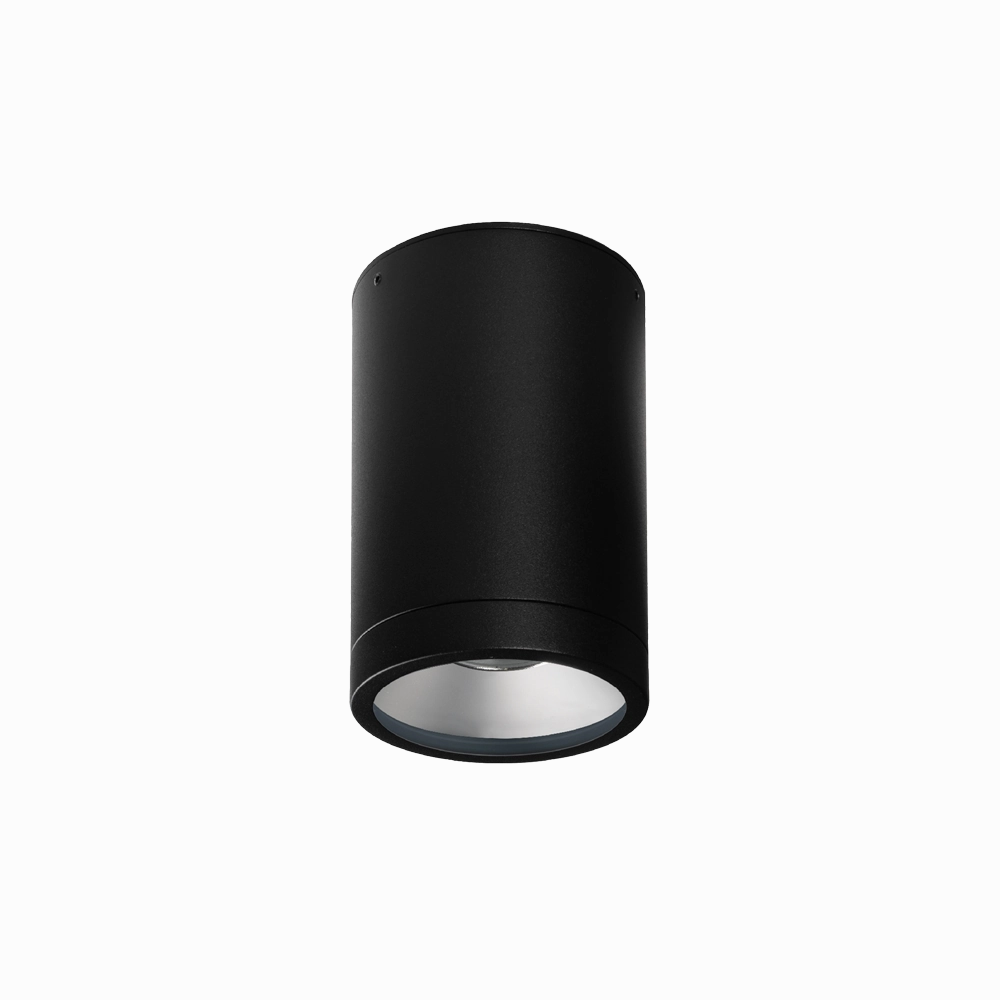 Athena G2 18W Dali Dimmable LED Surface Mount IP66 Downlight Black Downlights Security Special