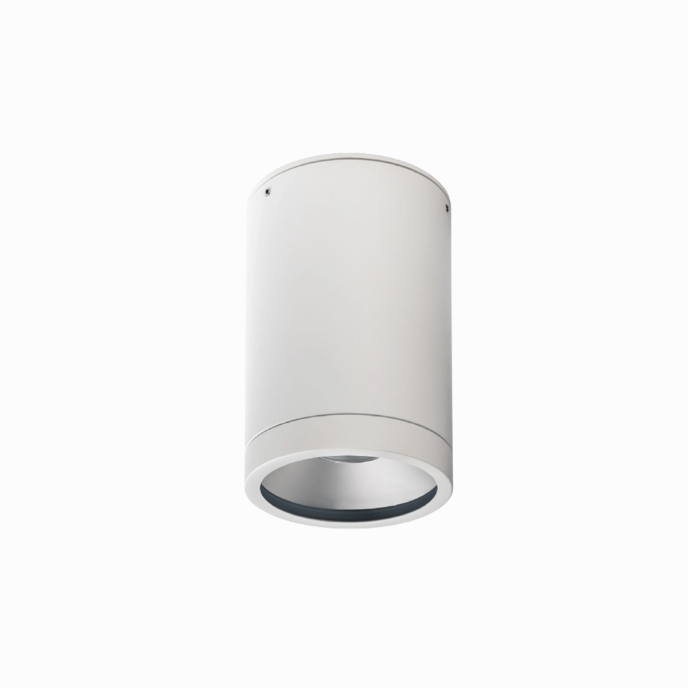 Athena G2 18W Dimmable LED Surface Mount IP66 Downlight White Downlights Security Special