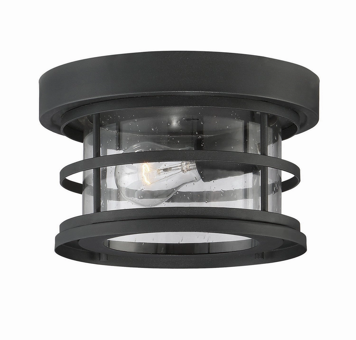 Barrett One Light Flush Mount Black Outdoor Ceiling Mount Lighting clearance