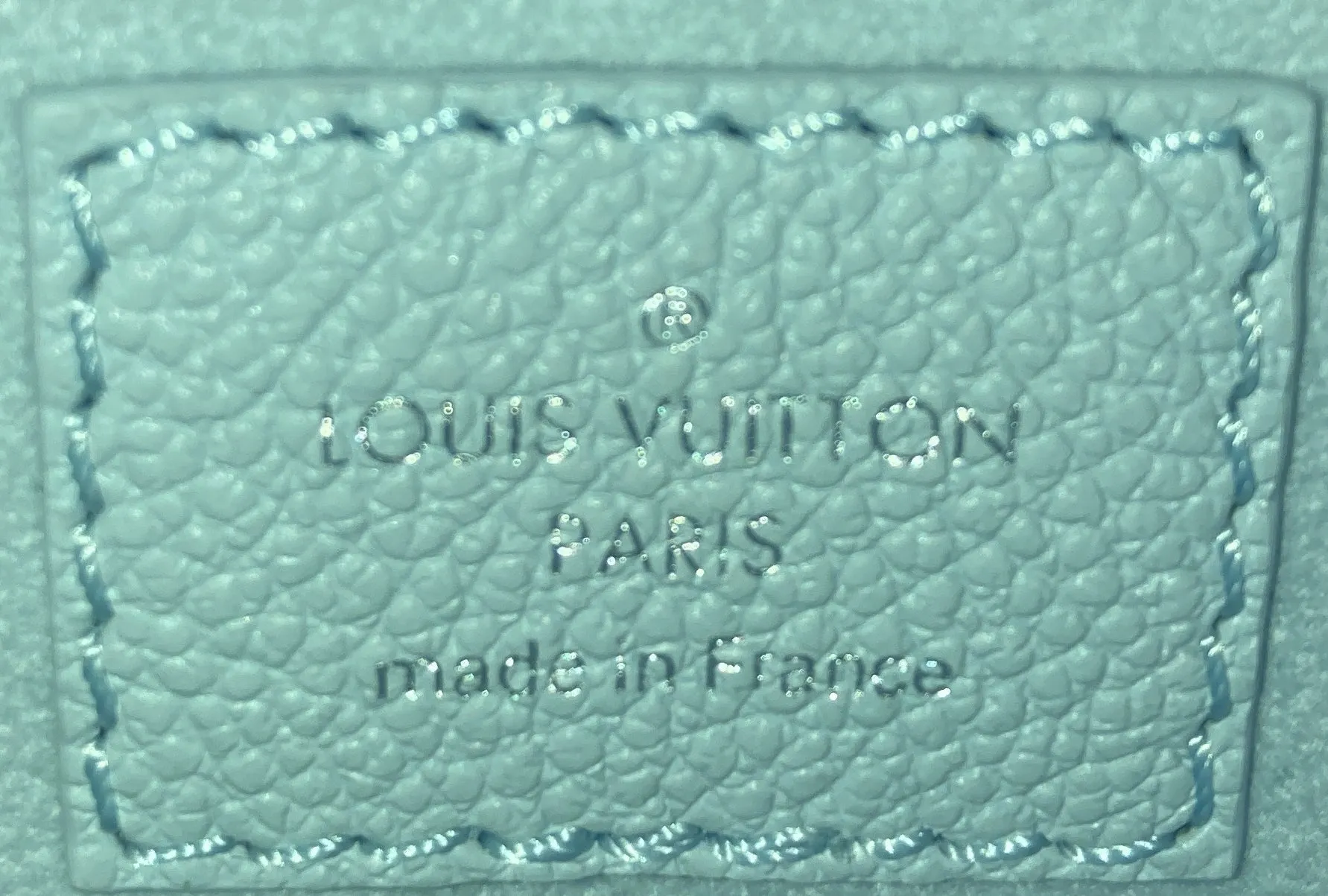 CarryAll Pochette Monogram Empreinte Leather MM