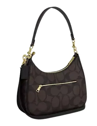 Coach Teri Hobo Bag In Blocked Signature Canvas