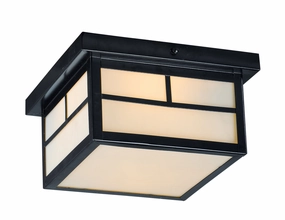 Coldwater Two Light Outdoor Ceiling Mount Black Outdoor Ceiling Mount Lighting hot sale