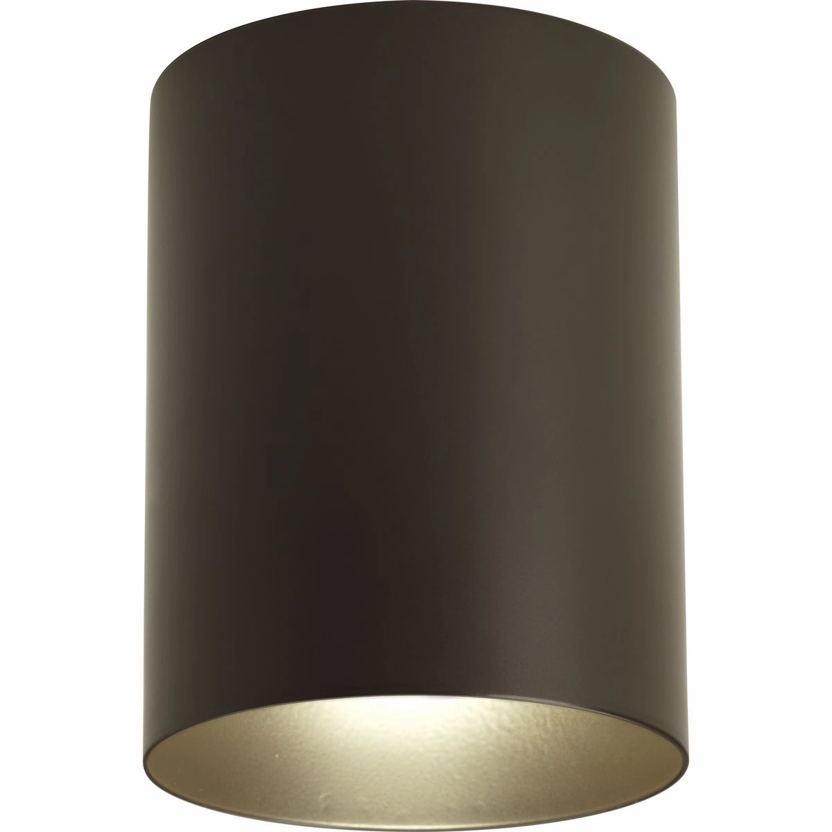 Cylinder One Light Outdoor Ceiling Mount Antique Bronze Flush Outdoor Ceiling Mount Lights