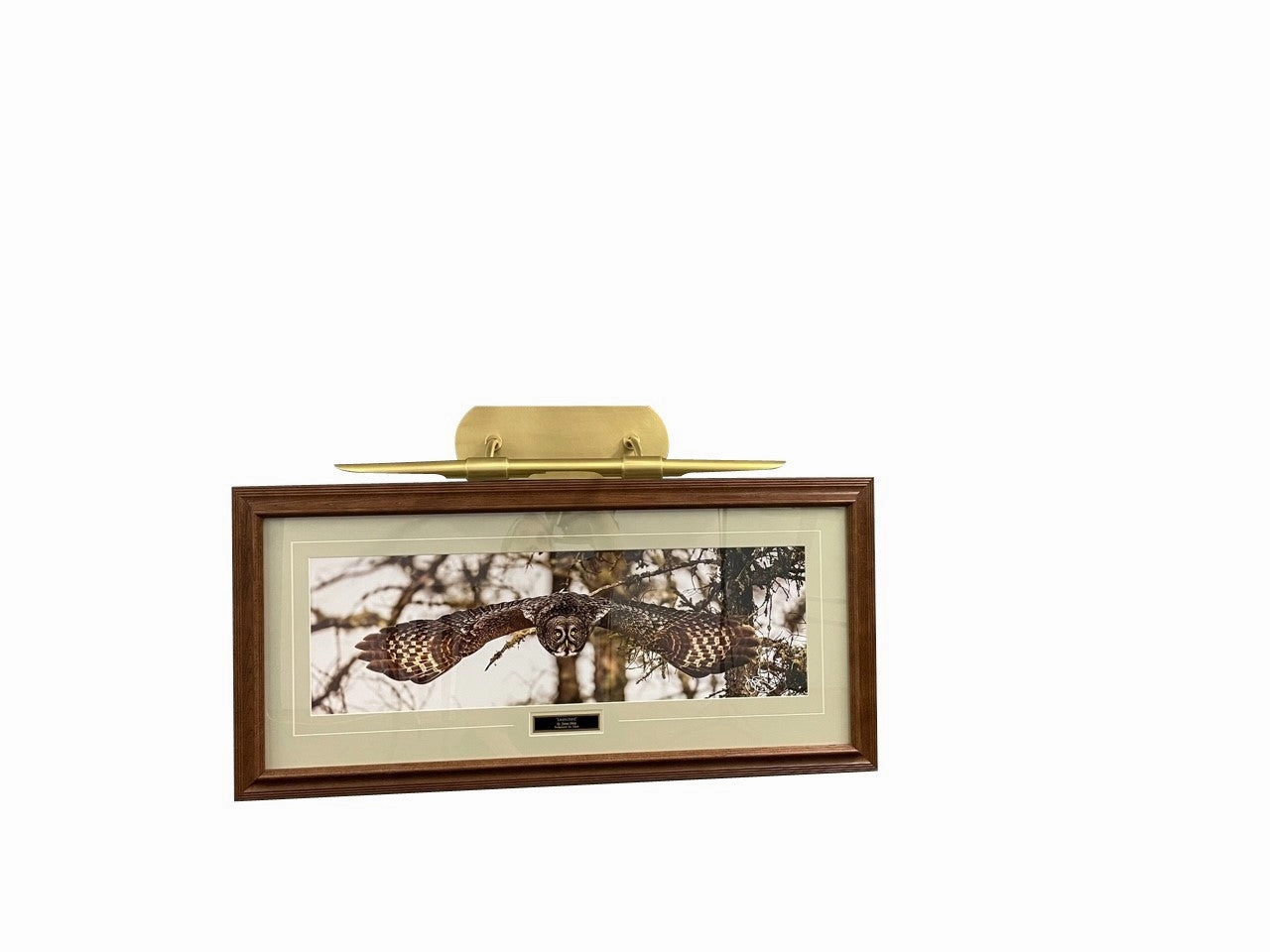 Harper LED Picture Light Natural Brass Wall Light Fixtures online shop