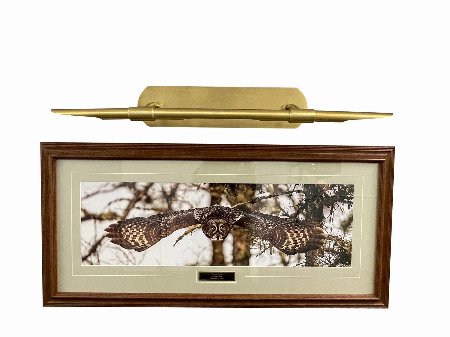 Harper LED Picture Light Natural Brass Wall Light Fixtures online shop