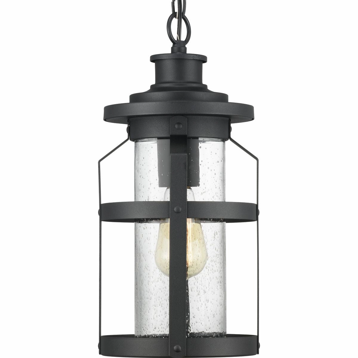 Haslett One Light Hanging Lantern Black Garden Hanging Lights promo