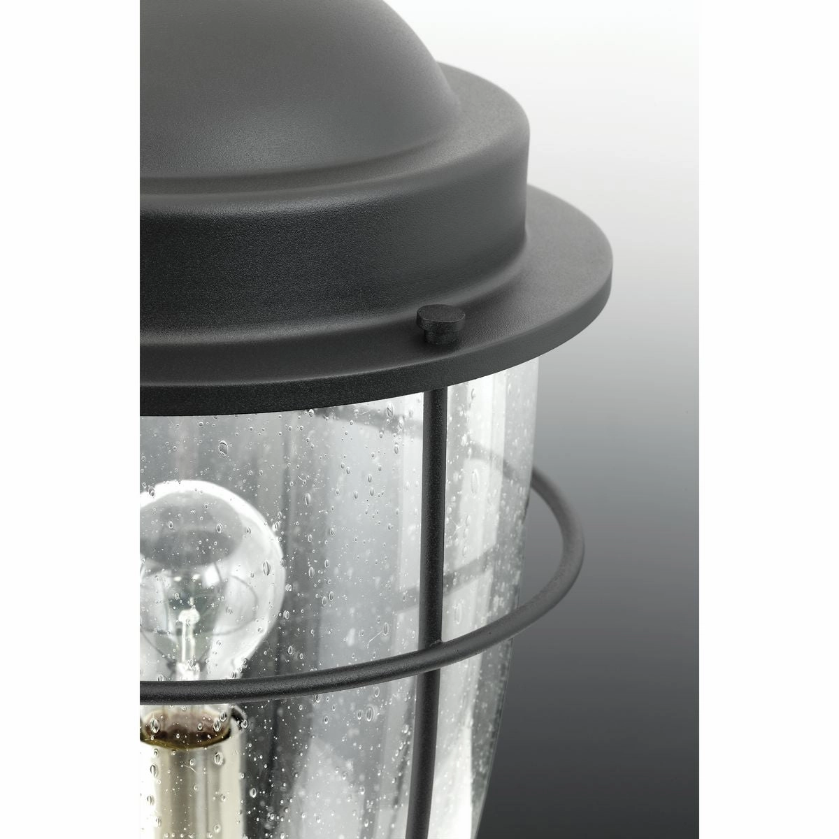 Holcombe One Light Hanging Lantern Black Garden Hanging Lights promo