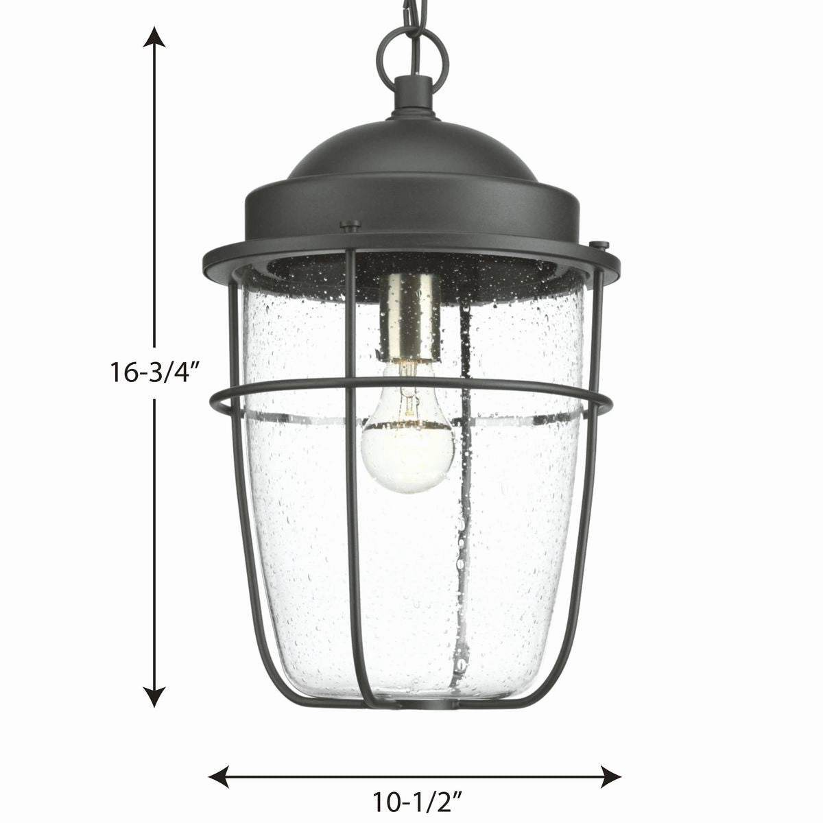 Holcombe One Light Hanging Lantern Black Garden Hanging Lights promo