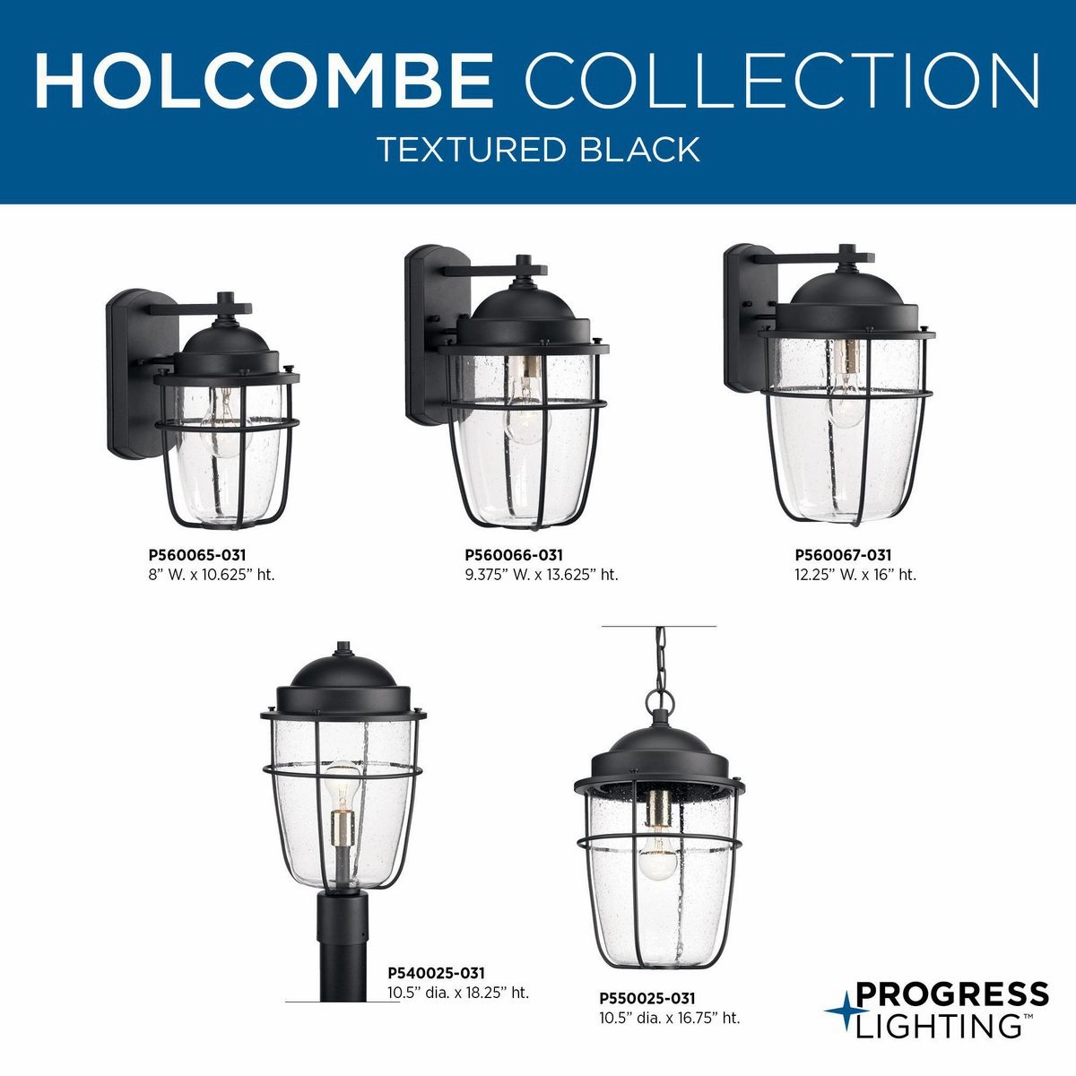 Holcombe One Light Hanging Lantern Black Garden Hanging Lights promo