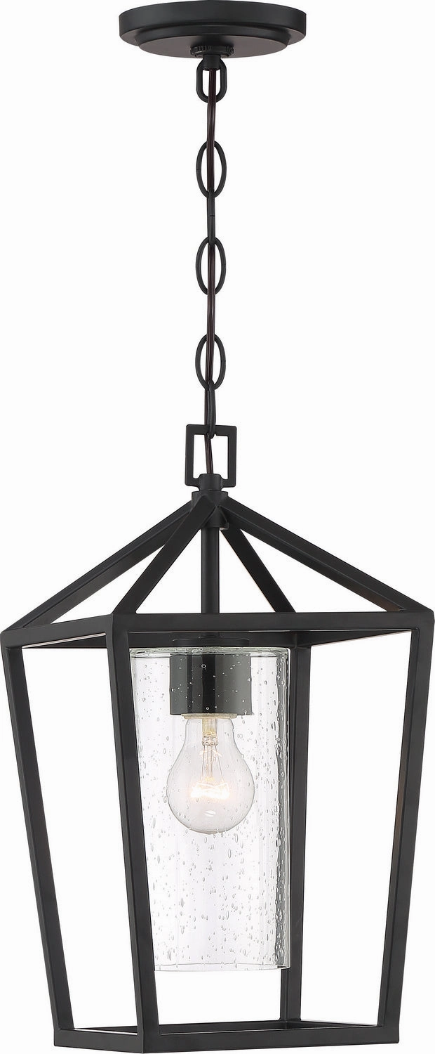 Hopewell One Light Hanging Lantern Matte Black Garden Hanging Lights promo