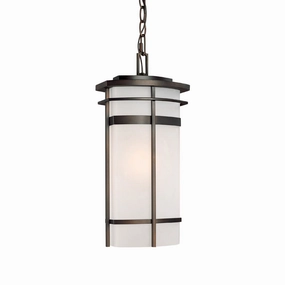 Lakeshore One Light Outdoor Hanging Lantern Old Bronze Outdoor Hanging Lights Lighting bundle deal