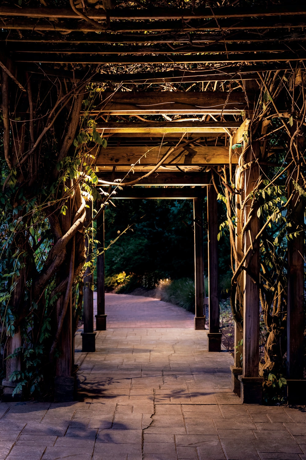 Landscape Led LED Accent Textured Architectural Bronze Outdoor Accent Lights deals