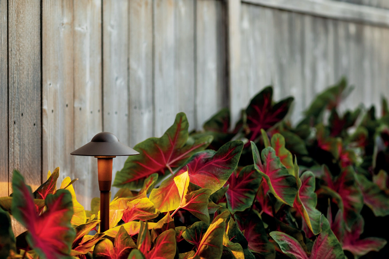 LED Path Light Textured Architectural Bronze Outdoor Path Lights special offer