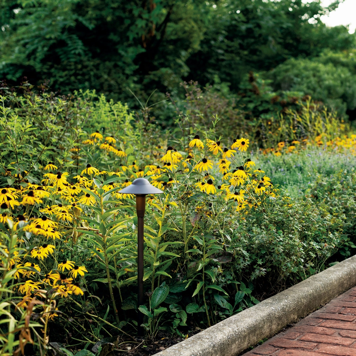 LED Path Light Textured Architectural Bronze Outdoor Path Lights special offer