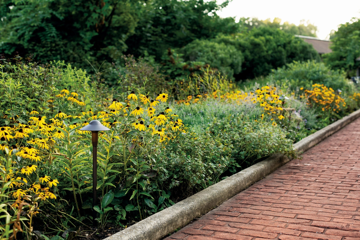 LED Path Light Textured Architectural Bronze Outdoor Path Lights special offer