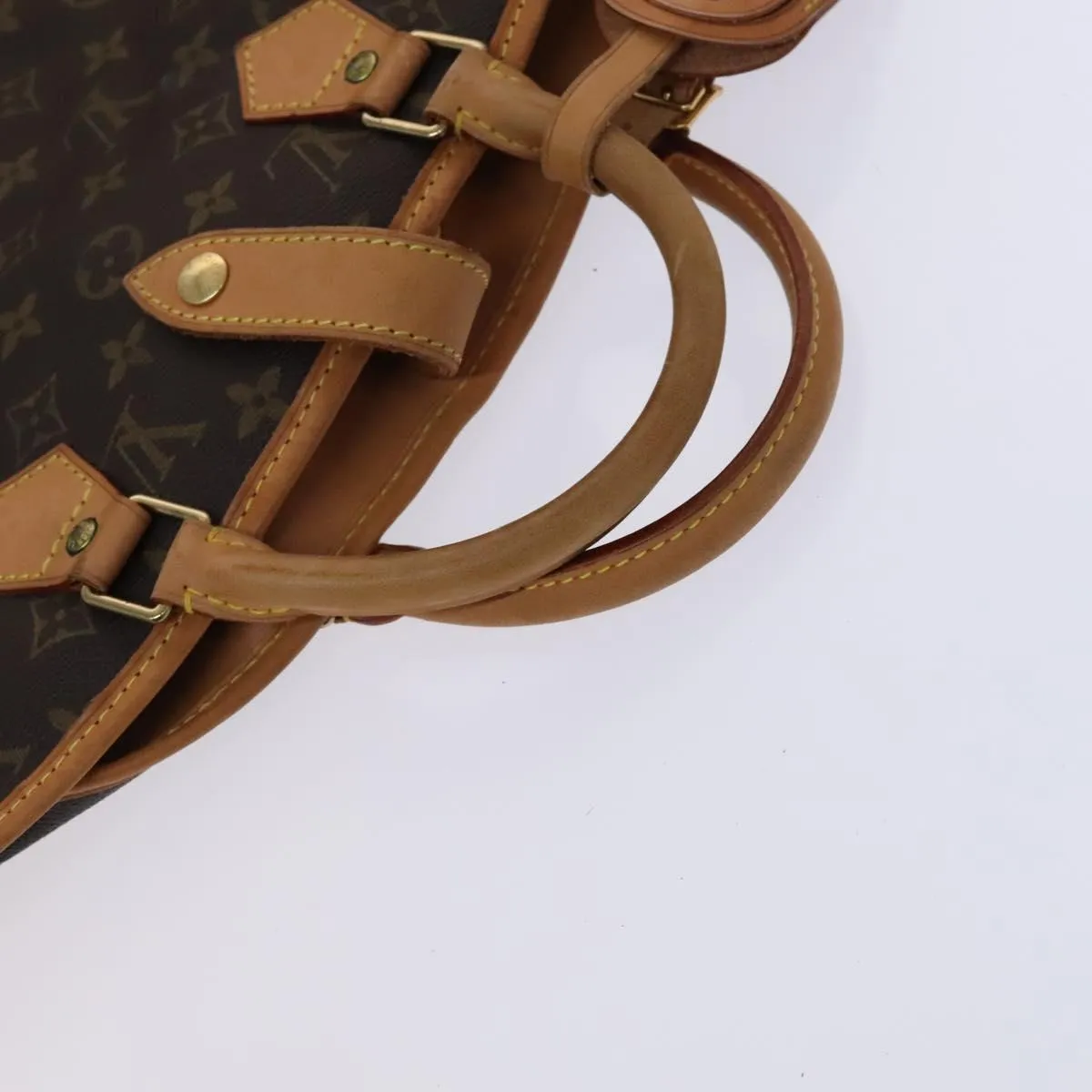 Louis Vuitton Garment Case Canvas Travel Bag (Pre-Owned)