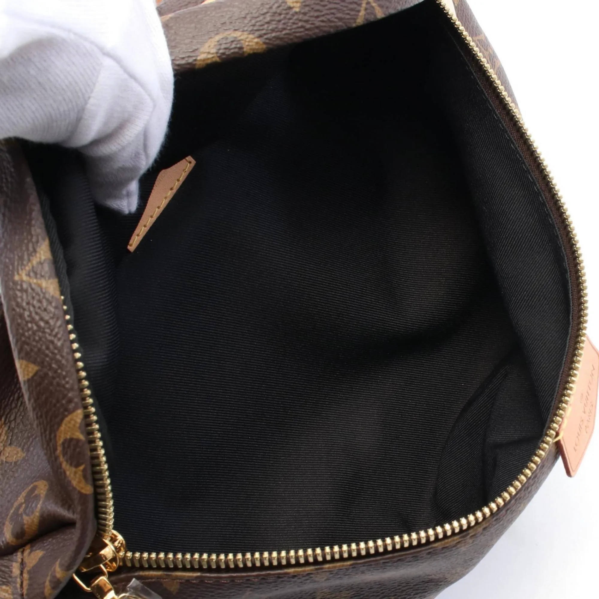 Louis Vuitton Monogram Coated Canvas Fanny Pack (Pre-Owned)