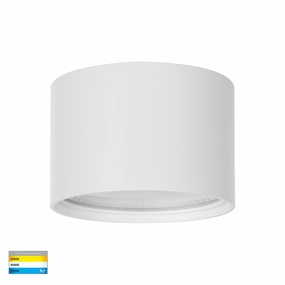 Nella 12v 12w 120 3CCT White Surface Mount Downlight Downlights Security Special