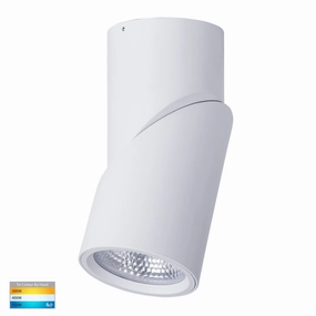 Nella 240v 24w 60 3CCT Rotatable White Surface Mount Downlight Downlights Security Special