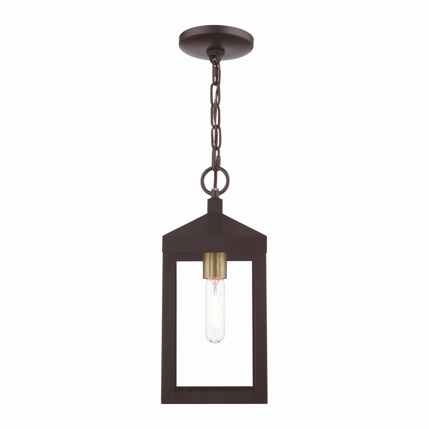 Nyack One Light Outdoor Pendant Bronze w/ Antique Brass Cluster Modern Outdoor Hanging Lights