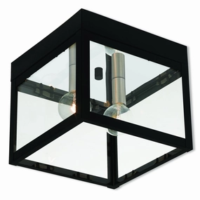 Nyack Two Light Outdoor Ceiling Mount Black w/ Brushed Nickel Cluster Outdoor Ceiling Mount Lighting hot sale