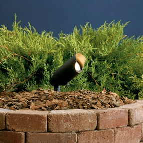 One Light Accent Textured Black Outdoor Accent Lights Lighting low price