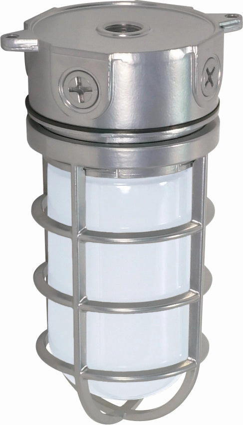 One Light Ceiling Mount Metallic Silver Outdoor Ceiling Mount Lighting hot sale