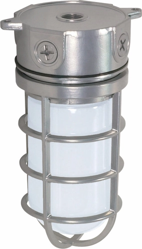 One Light Ceiling Mount Metallic Silver Outdoor Ceiling Mount Lighting hot sale
