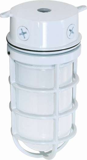 One Light Ceiling Mount White Outdoor Ceiling Mount Lighting hot sale