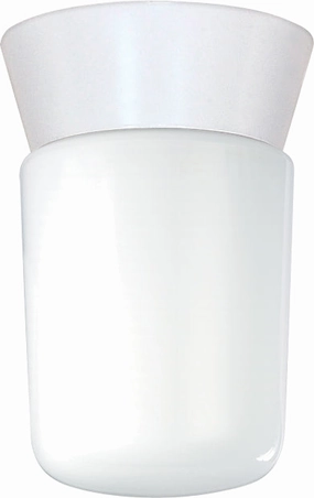 One Light Ceiling Mount White Outdoor Ceiling Mount Lighting hot sale
