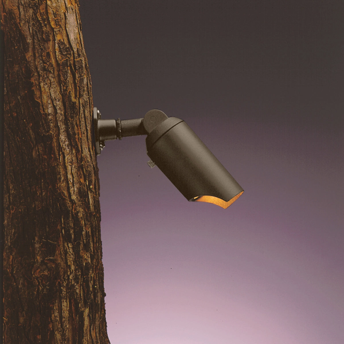 One Light Down Accent Textured Architectural Bronze Outdoor Accent Lights Lighting low price