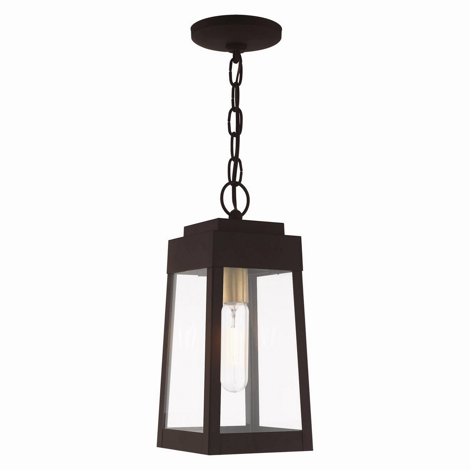 Oslo One Light Outdoor Pendant Bronze w/ Antique Brass Outdoor Hanging Lights Lighting value pack