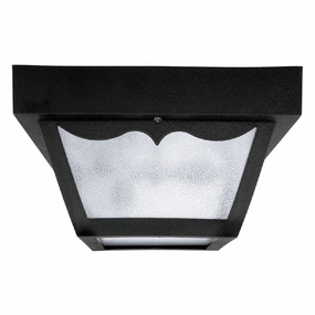 Outdoor Two Light Outdoor Flush Mount Black Outdoor Ceiling Mount Lighting hot sale