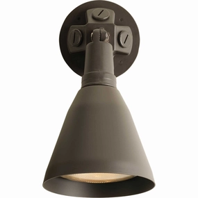 Par Lampholder One Light Wall Lantern Antique Bronze Outdoor Accent Lights Lighting low price