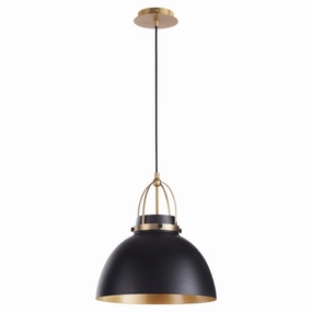 Quorum Picture Lights 823-5980 Pendant Light - Matte Black W/ Aged Brass Wall Lighting outlet online