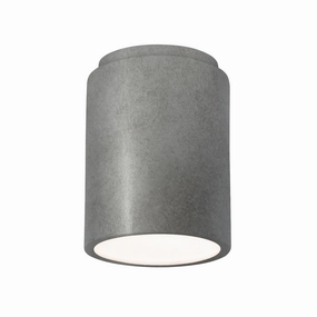 Radiance Flush-Mount Antique Silver Outdoor Ceiling Mount Lighting flash sale