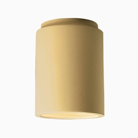Radiance One Light Outdoor Flush Mount Muted Yellow Outdoor Ceiling Mount Lighting flash sale