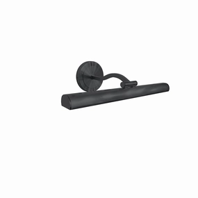 Reina LED Picture Light Matte Black Wall Lights for patio sale
