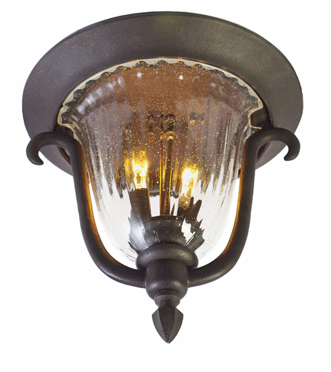 Santa Barbara Outdoor Two Light Outdoor Flush Mount Textured Matte Black Outdoor Ceiling Mount Lighting hot sale