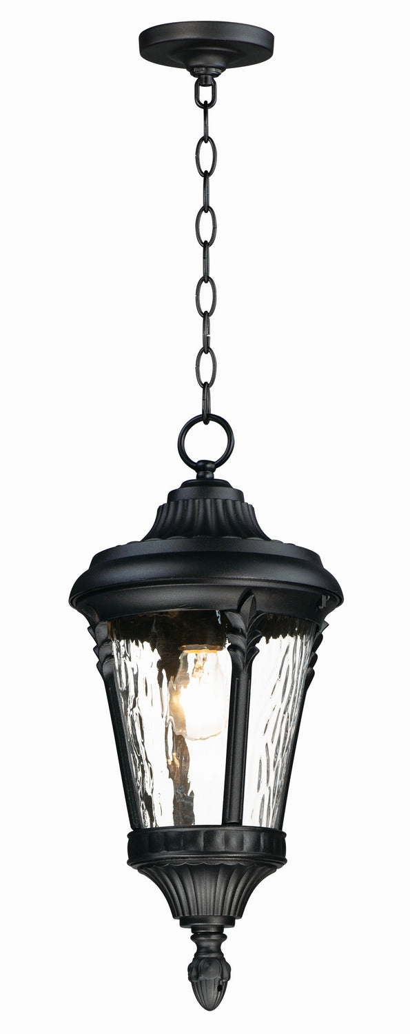 Sentry One Light Outdoor Hanging Lantern Black Outdoor Hanging Lights Lighting value pack