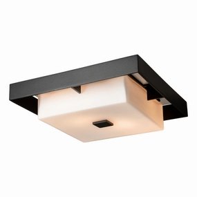 Shadow Box Two Light Outdoor Flush Mount Coastal Black Outdoor Ceiling Mount Lighting flash sale