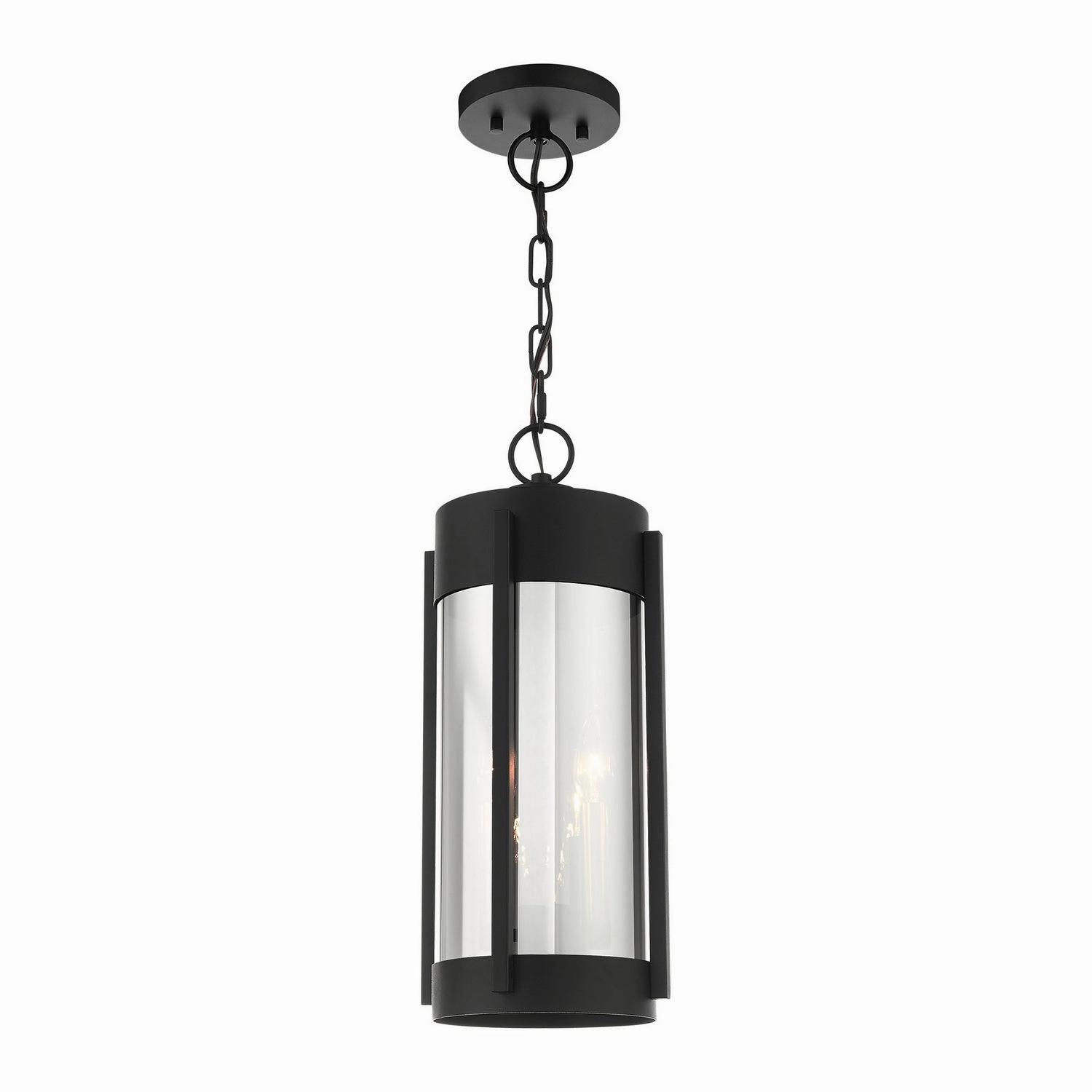 Sheridan Two Light Outdoor Pendant Black w/ Brushed Nickels Modern Outdoor Hanging Lights