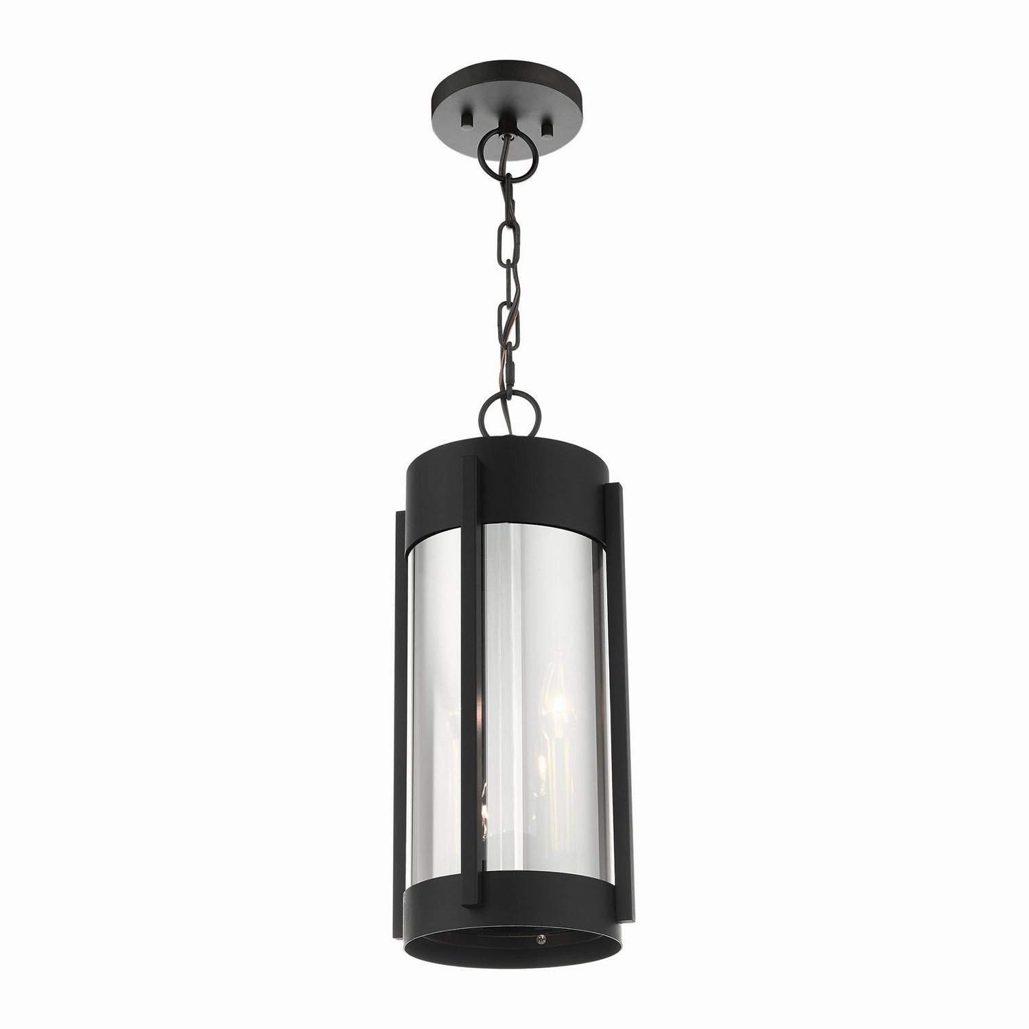 Sheridan Two Light Outdoor Pendant Black w/ Brushed Nickels Modern Outdoor Hanging Lights