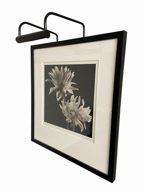 Slim-line One Light Picture Light Black Wall Lights for patio sale