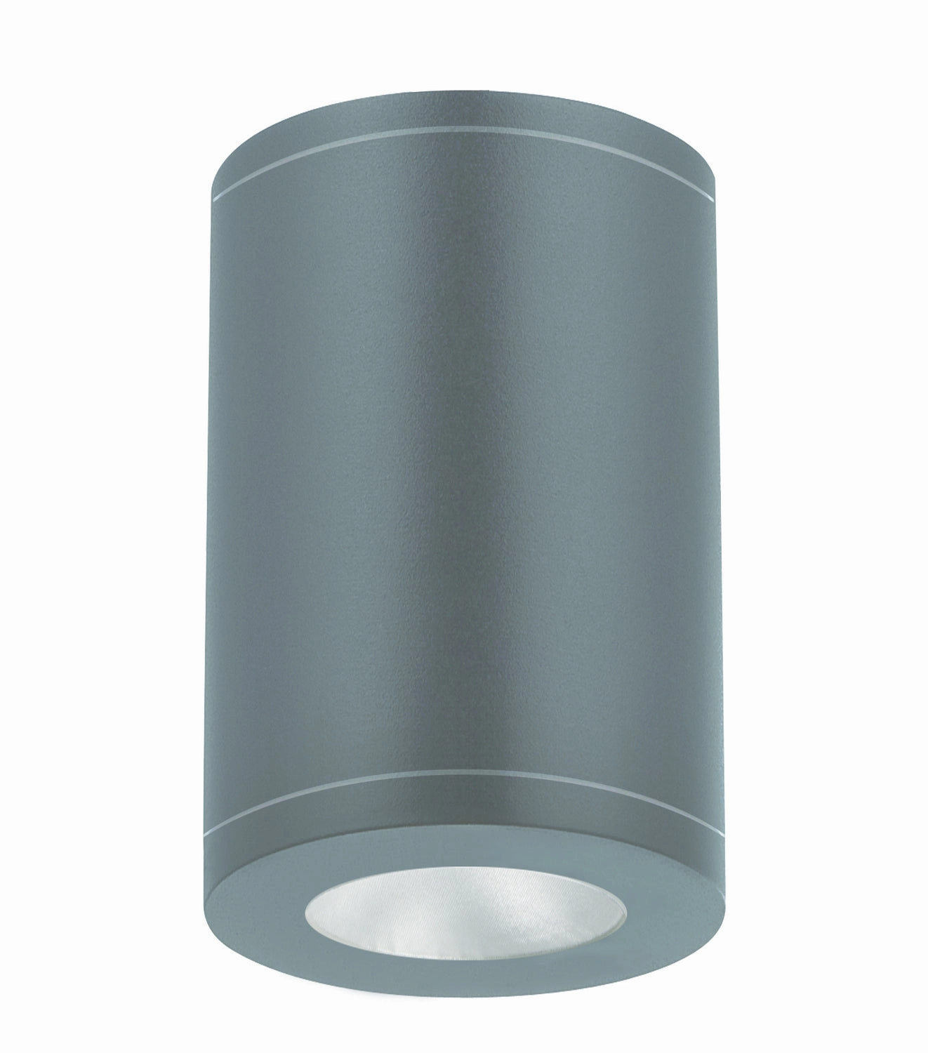 Tube Arch LED Flush Mount Graphite Outdoor Ceiling Mount Lighting flash sale