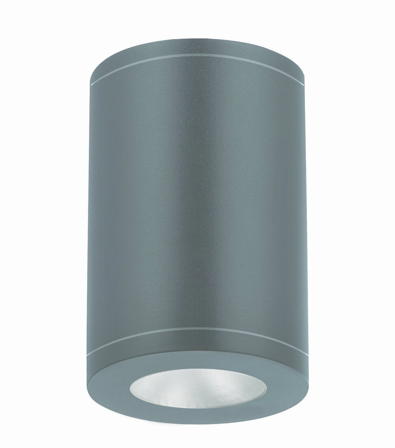 Tube Arch LED Flush Mount Graphite Outdoor Ceiling Mount Lighting flash sale