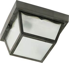 Two Light Flush Mount Black Outdoor Ceiling Mount Lighting hot sale