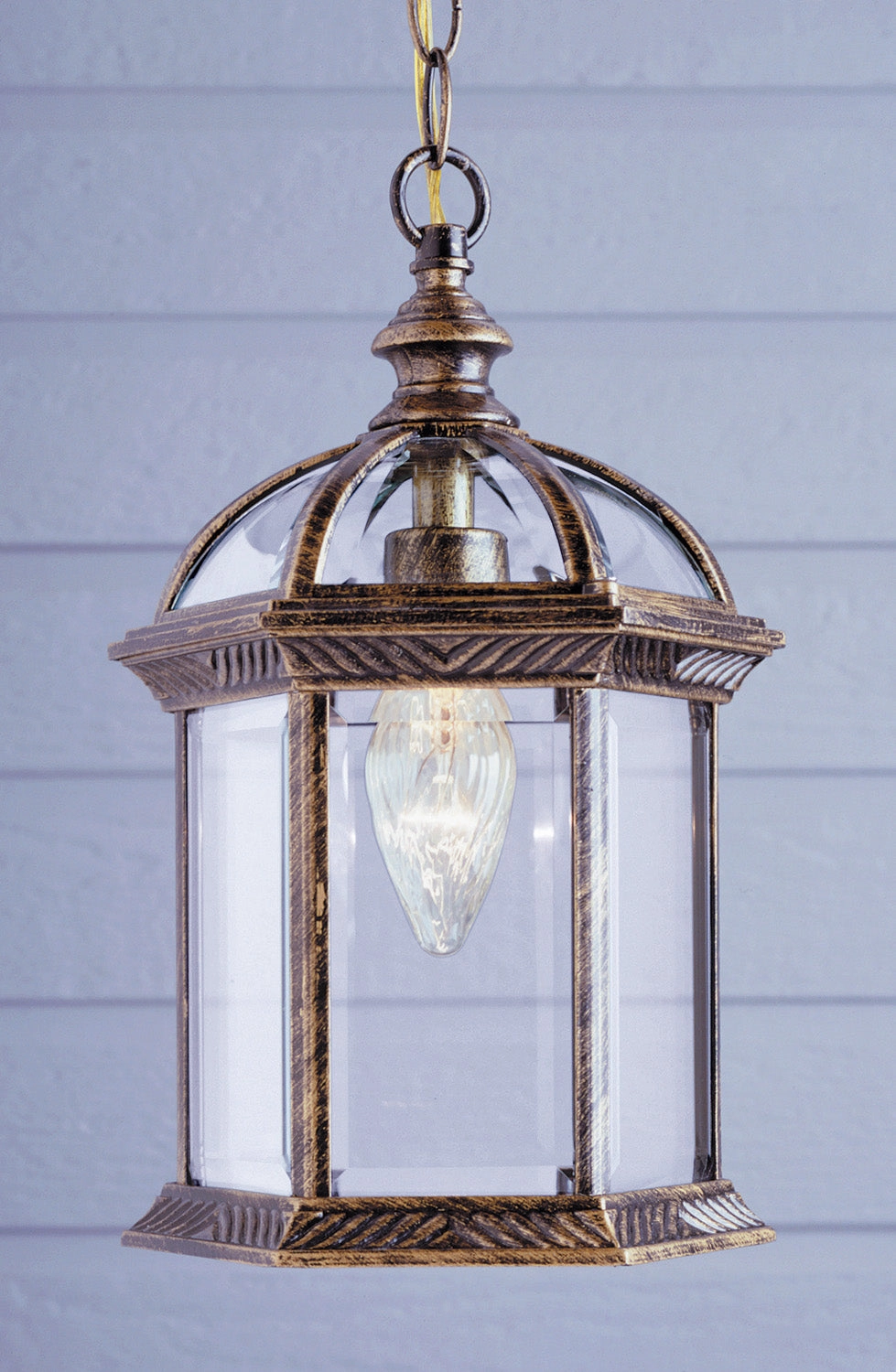 Wentworth Hanging Lantern Outdoor Hanging Lights Lighting best seller